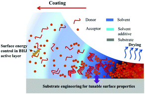 Graphical abstract: Role of interface properties in organic solar cells: from substrate engineering to bulk-heterojunction interfacial morphology