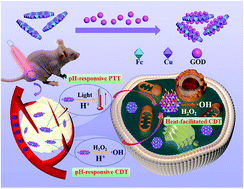 Graphical abstract: A pH-responsive ultrathin Cu-based nanoplatform for specific photothermal and chemodynamic synergistic therapy