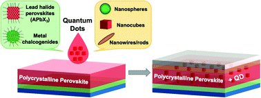 Graphical abstract: Incorporating quantum dots for high efficiency and stable perovskite photovoltaics