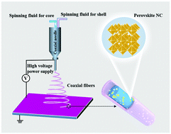 Graphical abstract: In situ synthesis of coaxial CsPbX3@polymer (X = Cl, Br, I) fibers with significantly enhanced water stability