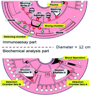 Graphical abstract: Application of centrifugal microfluidics in immunoassay, biochemical analysis and molecular diagnosis