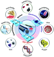 Graphical abstract: Nanowire-based sensor electronics for chemical and biological applications