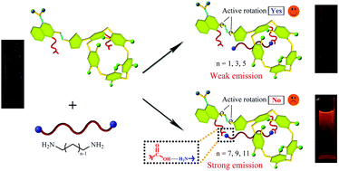 Graphical abstract: Bio-inspired AIE pillar[5]arene probe with multiple binding sites to discriminate alkanediamines