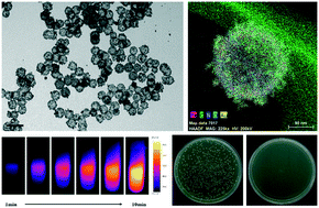 Graphical abstract: Fe3O4–Au–polydopamine hybrid microcapsules with photothermal–photodynamic synergistic anti-bacterial performance