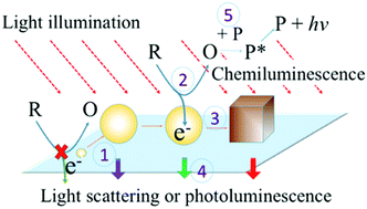 Graphical abstract: Single-nanoparticle spectroelectrochemistry studies enabled by localized surface plasmon resonance