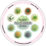 Graphical abstract: Nanobiocatalysis: a materials science road to biocatalysis