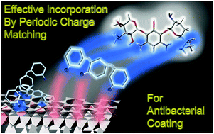 Graphical abstract: Periodic charge matching driven immobilization of gentamicin in nanoclays for stable and long-term antibacterial coating