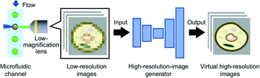 Graphical abstract: Deep imaging flow cytometry