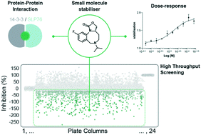 Graphical abstract: Identification of molecular glues of the SLP76/14-3-3 protein–protein interaction