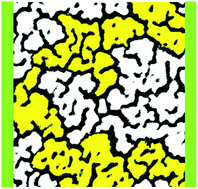 Graphical abstract: Neuromorphic behaviour in discontinuous metal films