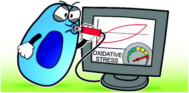 Graphical abstract: Supersensitive CeOx-based nanocomposite sensor for the electrochemical detection of hydroxyl free radicals