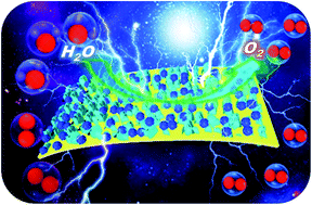 Graphical abstract: An in situ generated 3D porous nanostructure on 2D nanosheets to boost the oxygen evolution reaction for water-splitting