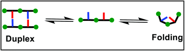 Graphical abstract: Duplex vs. folding: tuning the self-assembly of synthetic recognition-encoded aniline oligomers