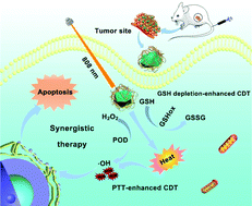 Graphical abstract: A novel CuCoS nanozyme for synergistic photothermal and chemodynamic therapy of tumors