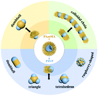 Graphical abstract: Light-induced reversible self-assembly of multi-compartment patchy micelles