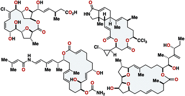 Graphical abstract: Structure determination, correction, and disproof of marine macrolide natural products by chemical synthesis