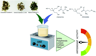Graphical abstract: The application of amino acid ionic liquids as additives in the ultrasound-assisted extraction of plant material