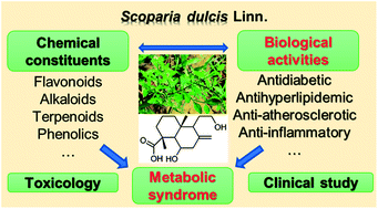 Graphical abstract: A review on the phytochemistry and pharmacology of the herb Scoparia dulcis L. for the potential treatment of metabolic syndrome