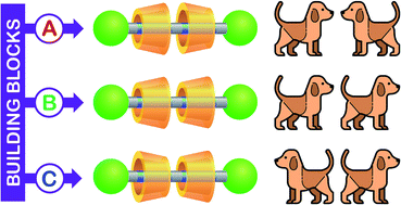 Graphical abstract: Selective access to constitutionally identical, orientationally isomeric calix[6]arene-based [3]rotaxanes by an active template approach