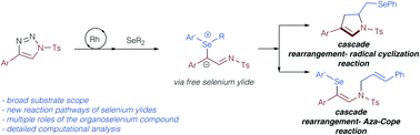 Graphical abstract: Rhodium-catalyzed cascade reactions of triazoles with organoselenium compounds – a combined experimental and mechanistic study