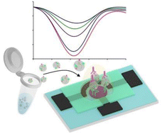 Graphical abstract: Low-cost electrochemical paper-based device for exosome detection