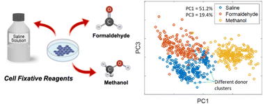 Graphical abstract: Saline dry fixation for improved cell composition analysis using Raman spectroscopy