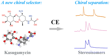 Graphical abstract: Evaluation of kasugamycin as a chiral selector in capillary electrophoresis