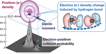 Graphical abstract: A comprehensive theoretical study of positron binding and annihilation properties of hydrogen bonded binary molecular clusters