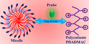 Graphical abstract: Exploring cationic polyelectrolyte–micelle interaction via excited-state proton transfer. Signatures of probe transfer