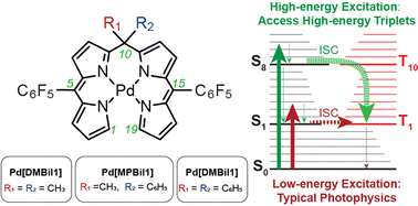 Graphical abstract: Elucidation of complex triplet excited state dynamics in Pd(ii) biladiene tetrapyrroles