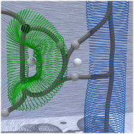 Graphical abstract: Topological data analysis of vortices in the magnetically-induced current density in LiH molecule