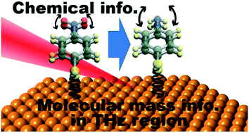 Graphical abstract: In situ mass analysis of surface reactions using surface-enhanced Raman spectroscopy covering a wide range of frequencies