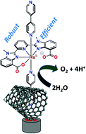 Graphical abstract: Ruthenium containing molecular electrocatalyst on glassy carbon for electrochemical water splitting