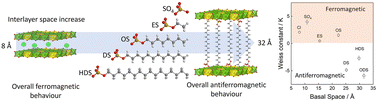 Graphical abstract: Two-dimensional magnetic behaviour in hybrid NiFe-layered double hydroxides by molecular engineering