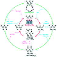 Graphical abstract: SO2-Tolerant catalytic reduction of NOx by confining active species in TiO2 nanotubes