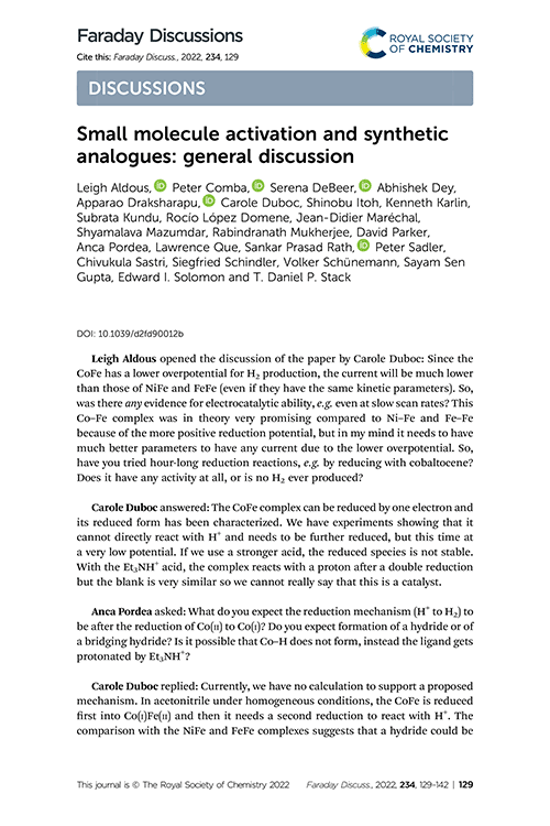 Small molecule activation and synthetic analogues: general discussion