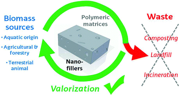 Graphical abstract: Organic waste valorisation towards circular and sustainable biocomposites