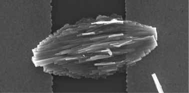 Graphical abstract: ZnO nanoleaves with superior photodetection properties