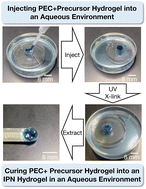 Graphical abstract: Polyelectrolyte complex scaffoldings for photocrosslinked hydrogels