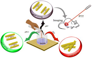 Graphical abstract: A nanoarchitecture of a gold cluster conjugated gold nanorod hybrid system and its application in fluorescence imaging and plasmonic photothermal therapy