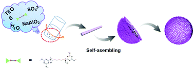 Graphical abstract: Direct synthesis of nanorod stacked “nest-like” hierarchical ZSM-48 hollow spheres using a triazine-based bolaform organic structure-directing agent