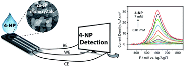 Graphical abstract: Structural and anionic effects of microcrystalline Zn-CPs on 4-nitrophenol sensing performances