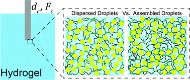 Graphical abstract: Strength of fluid-filled soft composites across the elastofracture length