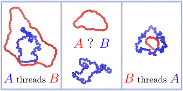 Graphical abstract: To thread or not to thread? Effective potentials and threading interactions between asymmetric ring polymers