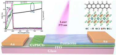 Graphical abstract: Heterointerface engineering of tetragonal CsPbCl3 based ultraviolet photodetectors with pentacene for enhancing the photoelectric performance