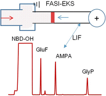 Graphical abstract: Sensitive detection of herbicide residues using field-amplified sample injection coupled with electrokinetic supercharging in flow-gated capillary electrophoresis