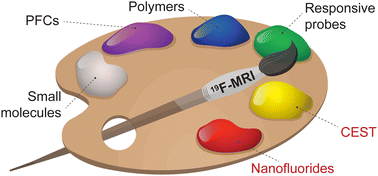 Graphical abstract: Frontiers in 19F-MR imaging: nanofluorides and 19F-CEST as novel extensions to the 19F-MRI toolbox