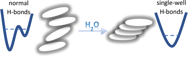 Graphical abstract: Signatures of pancake bonding in hydrated eumelanin