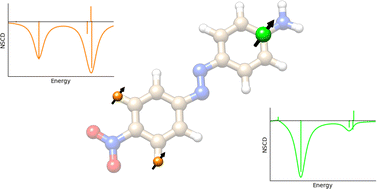 Graphical abstract: Insights into localization, energy ordering, and substituent effect in excited states of azobenzenes from coupled cluster calculations of nuclear spin-induced circular dichroism