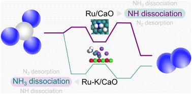 Graphical abstract: Elucidating the rate-determining step of ammonia decomposition on Ru-based catalysts using ab initio-grounded microkinetic modeling